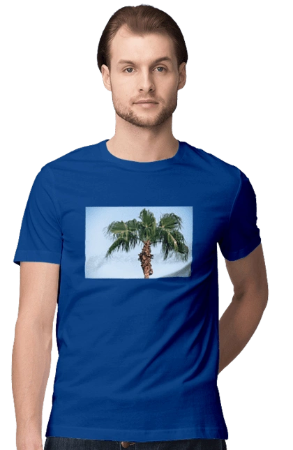 Пальма на тлі неба