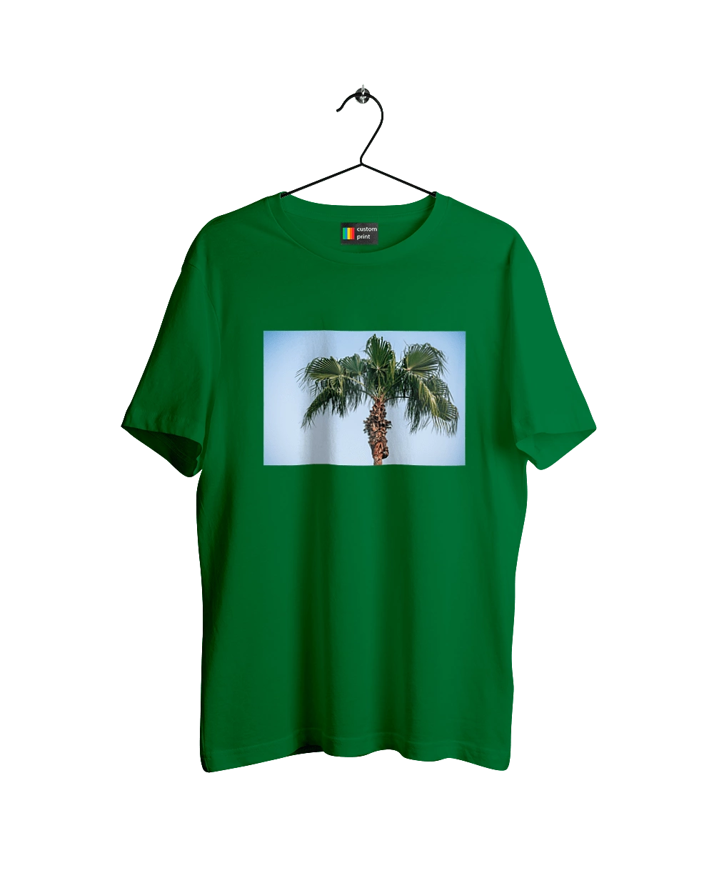 Пальма на тлі неба