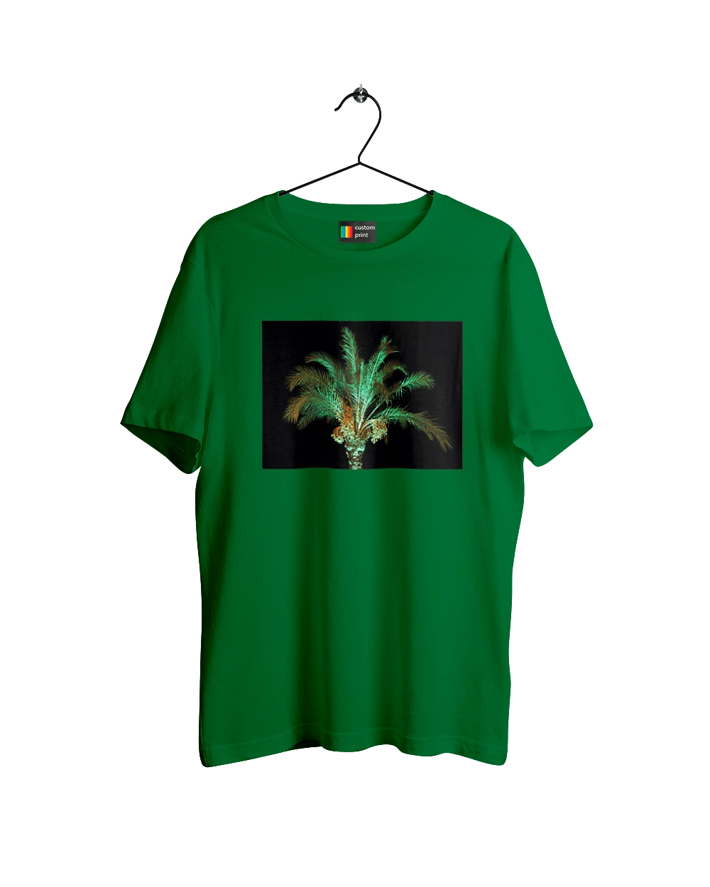 Финиковая Пальма Ночью