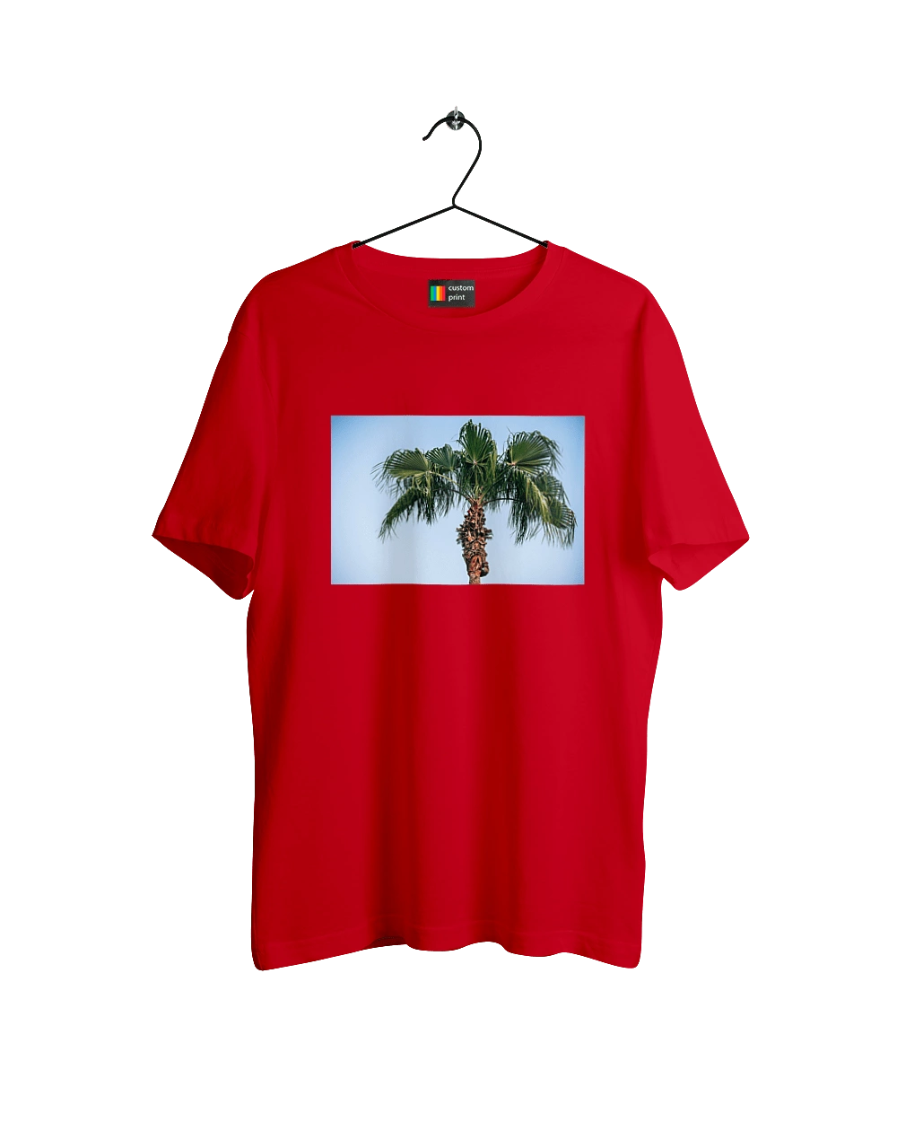 Palm tree against the sky