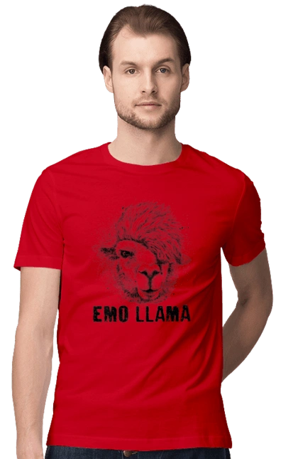 Emo Llama