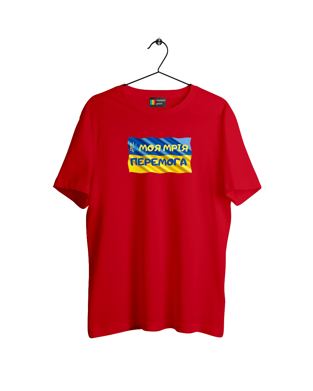 Моя мрія перемога. стяг України. герб України