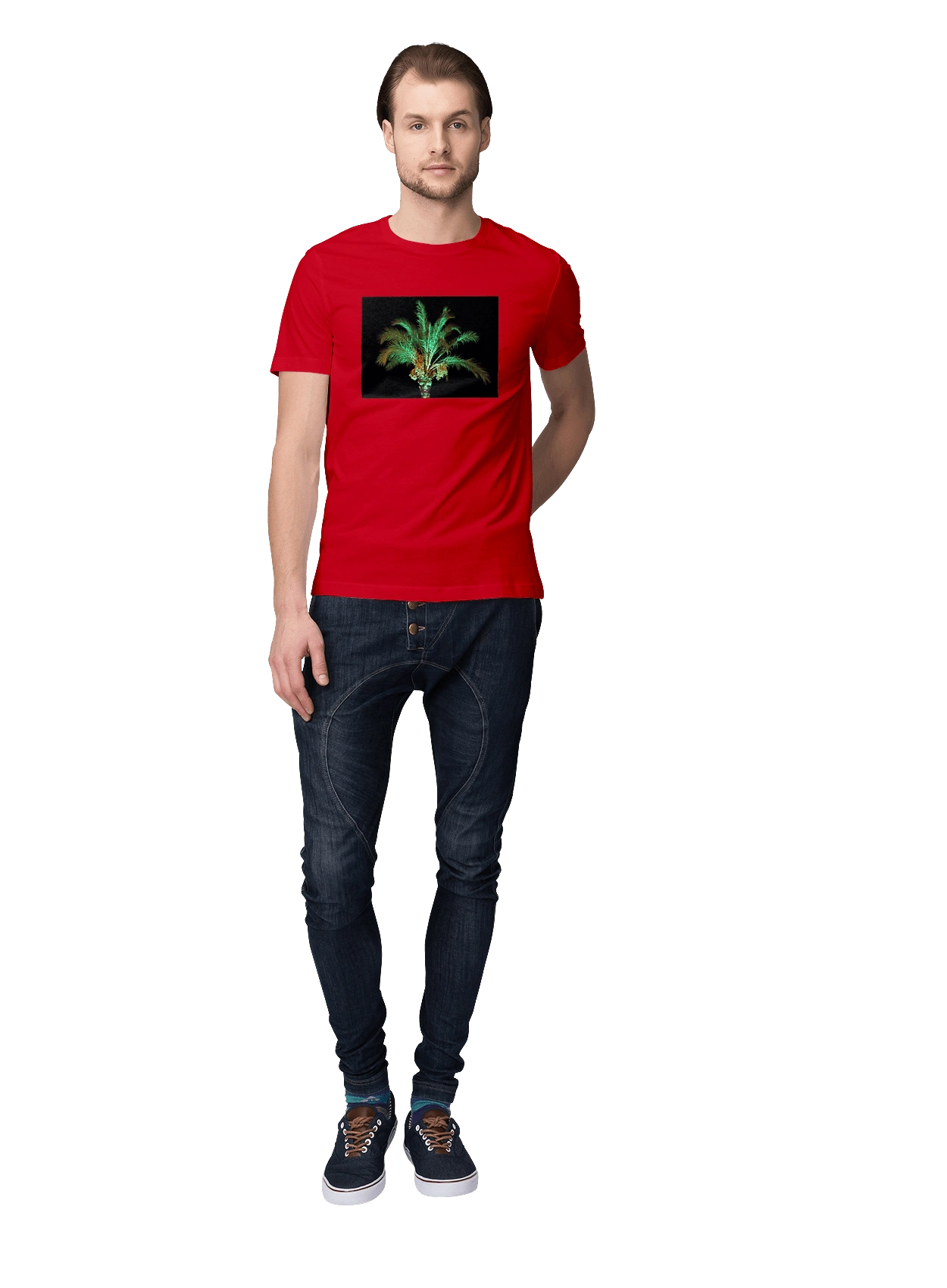 Фінікова Пальма Вночі