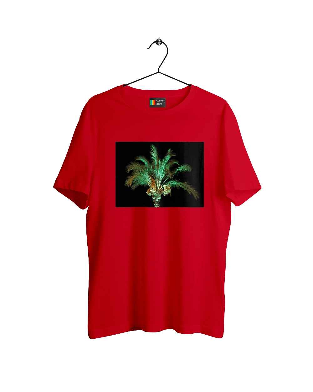 Фінікова Пальма Вночі