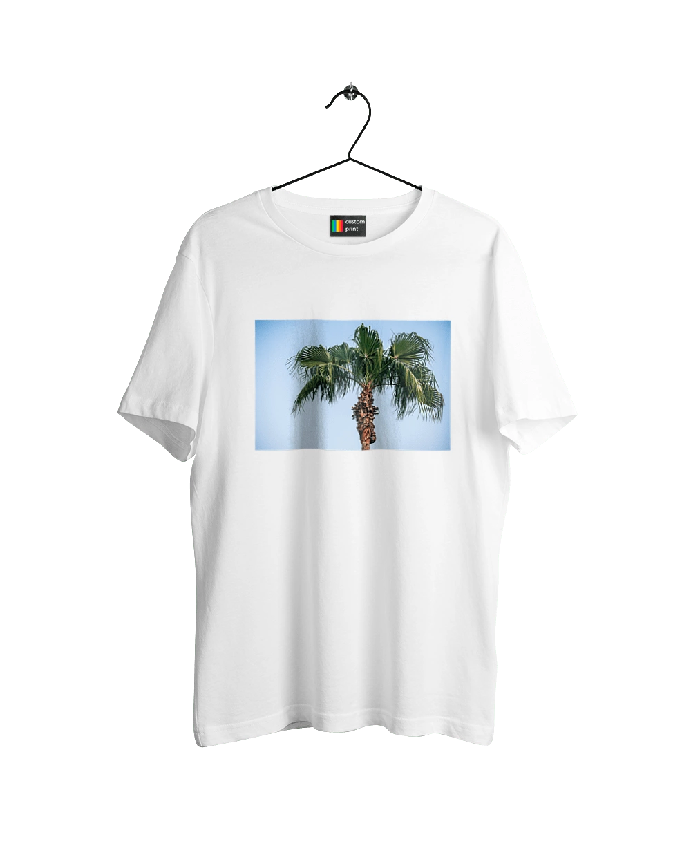 Пальма на тлі неба