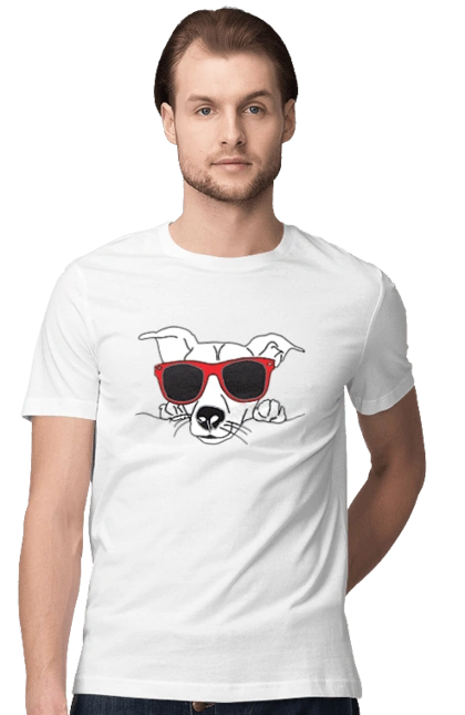 Собака Выглядывает