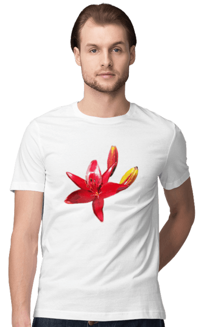 Футболка чоловіча з принтом "Червона лілія". Бутон, квітка, колір, лілія, природа, сонячний, червона квітка, червона лілія, червоний, яскравий. 2070702