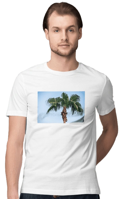 Пальма на тлі неба