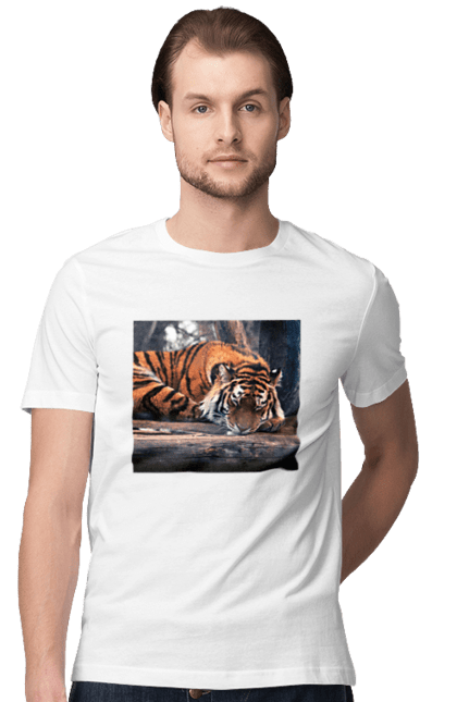 Футболка чоловіча з принтом "Спящий тигр". Tiger, спящий, тигр, футболка біла, футболка з тигром. CustomPrint.market