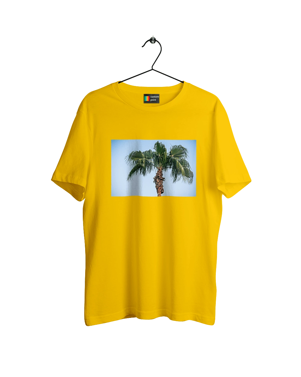 Пальма на фоне неба