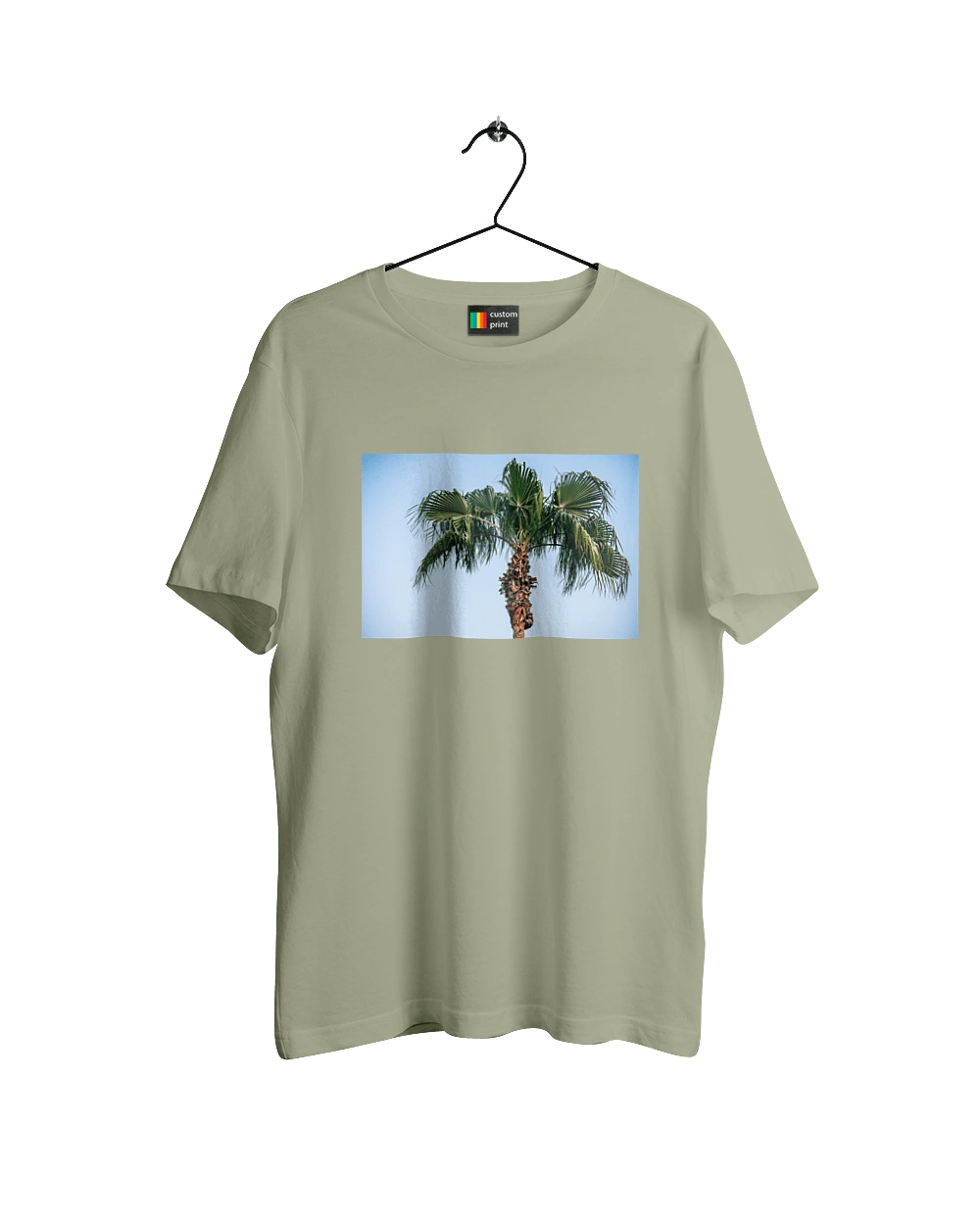 Пальма на тлі неба