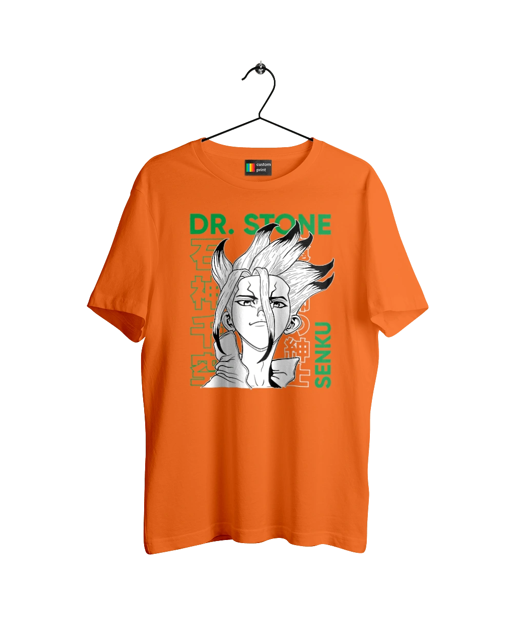 Dr. Stone Senku