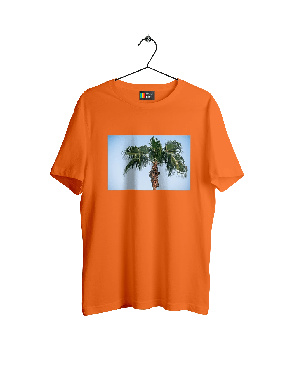 Palm tree against the sky