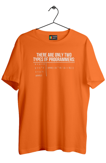 Футболка чоловіча з принтом "Два типи програмістів". Два програмісти, два типи, два типи програмістів, жарт it, мак адреса, програма, програміст, програмісти жартують, технічне завдання, фрілансер. 2070702