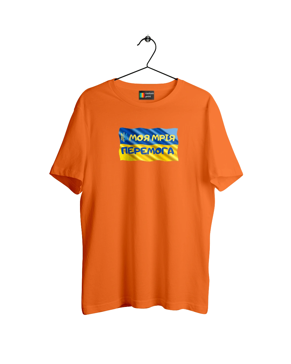 My dream is victory. the flag of Ukraine. Emblem of Ukraine