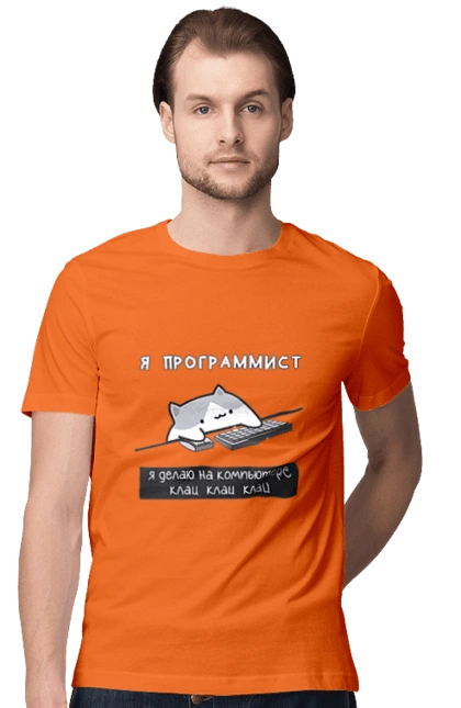I am a computer programmer