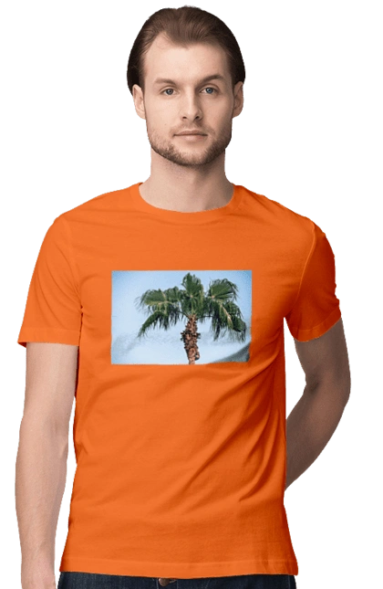 Palm tree against the sky