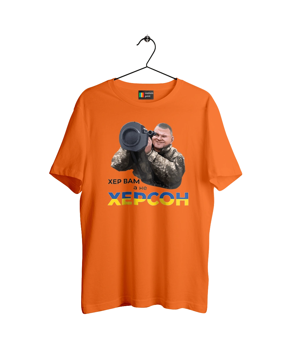 Залужний про Херсон