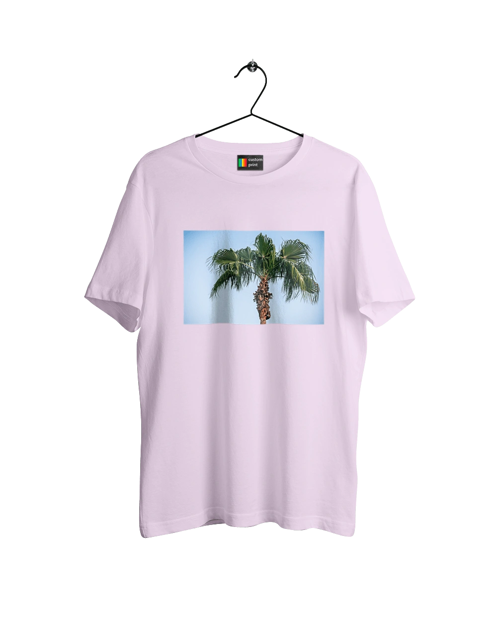 Palm tree against the sky