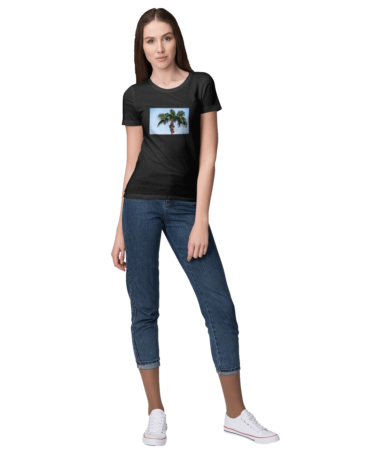 Palm tree against the sky