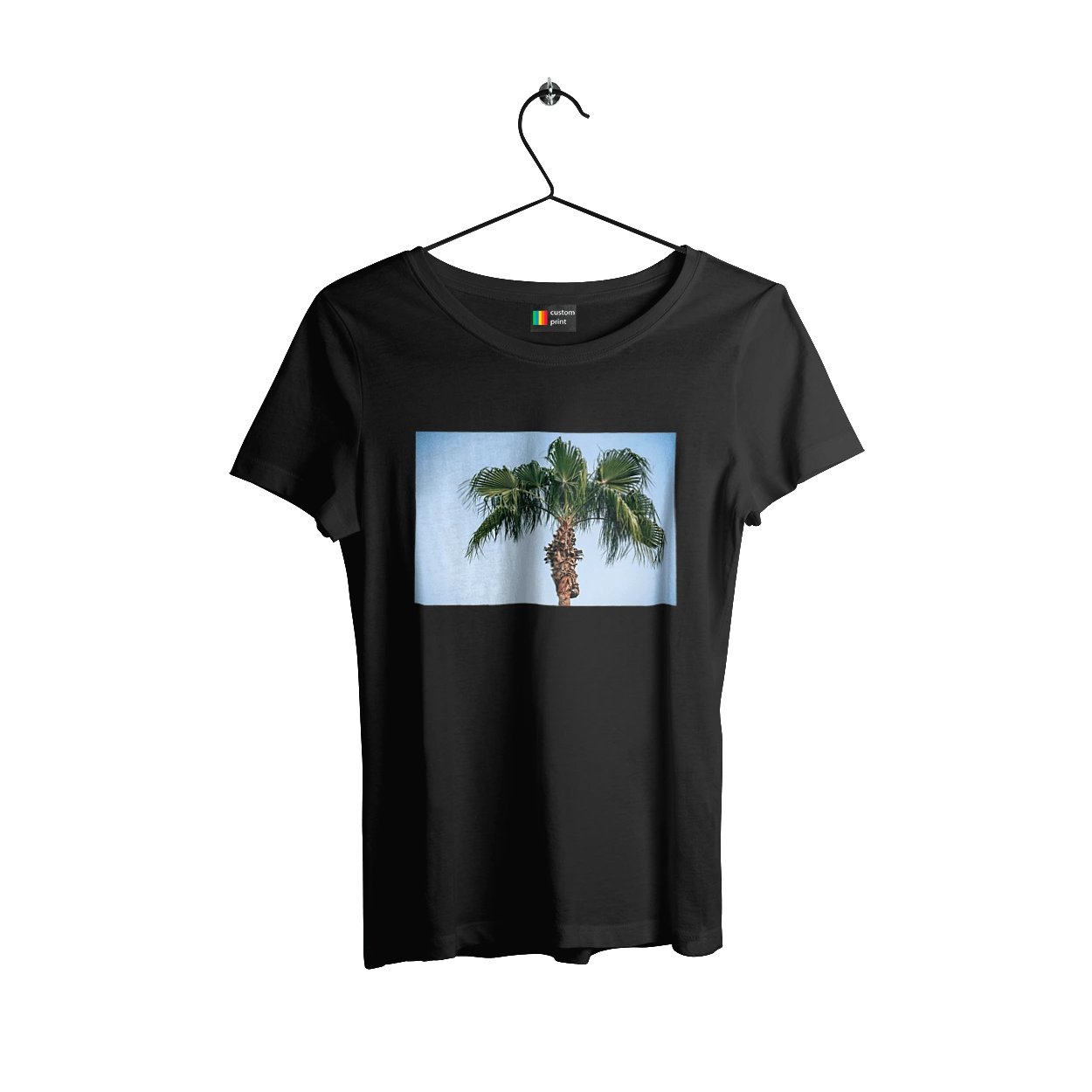 Palm tree against the sky