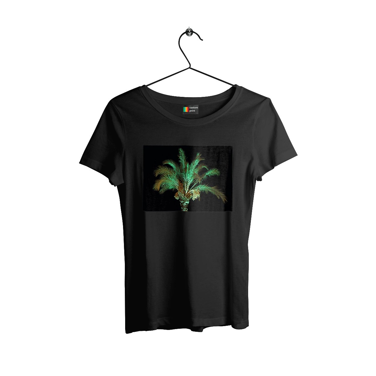 Фінікова Пальма Вночі