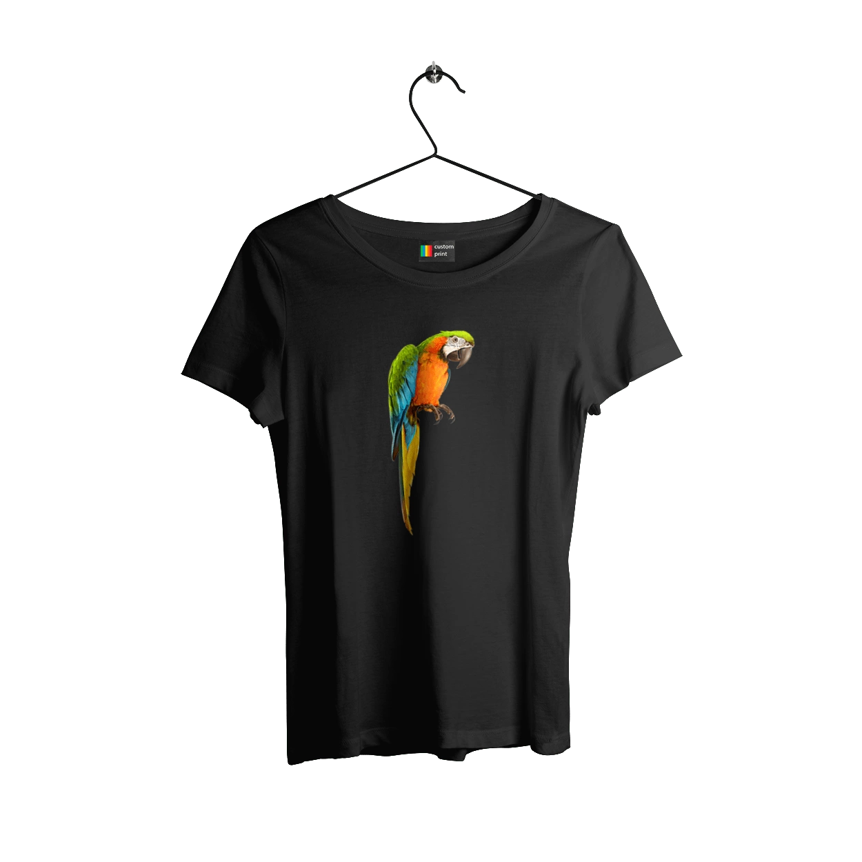 Просто Папуга