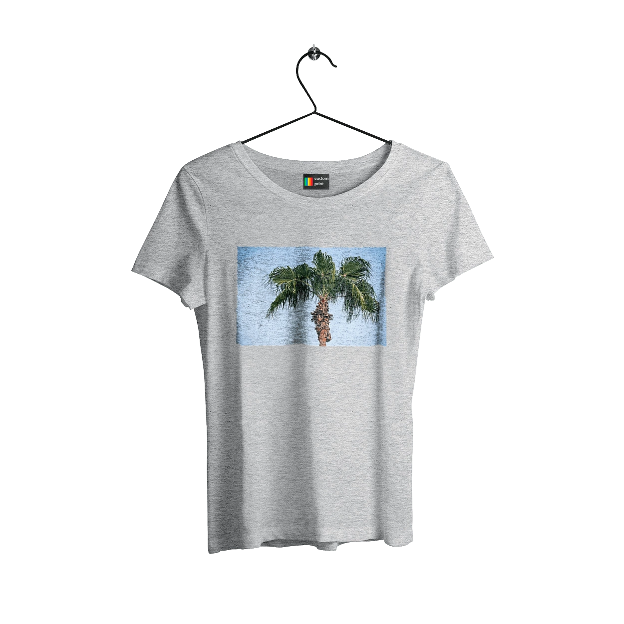 Пальма на фоне неба