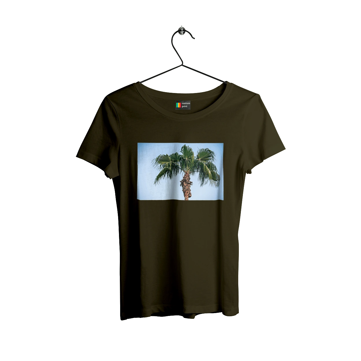 Palm tree against the sky