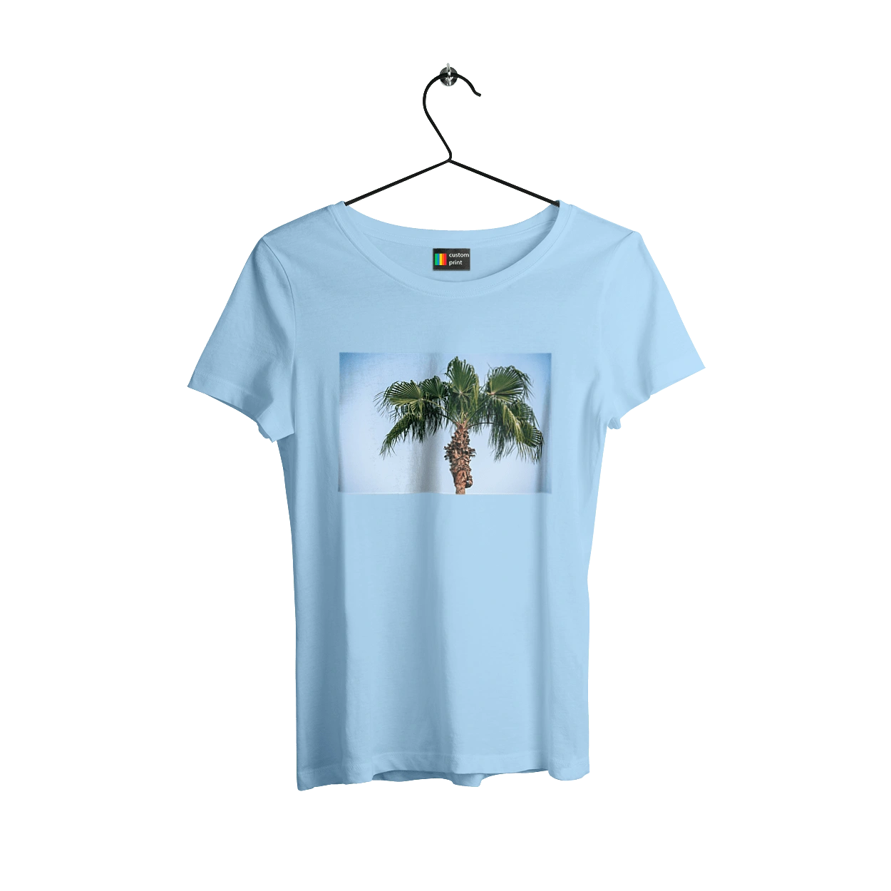 Пальма на тлі неба