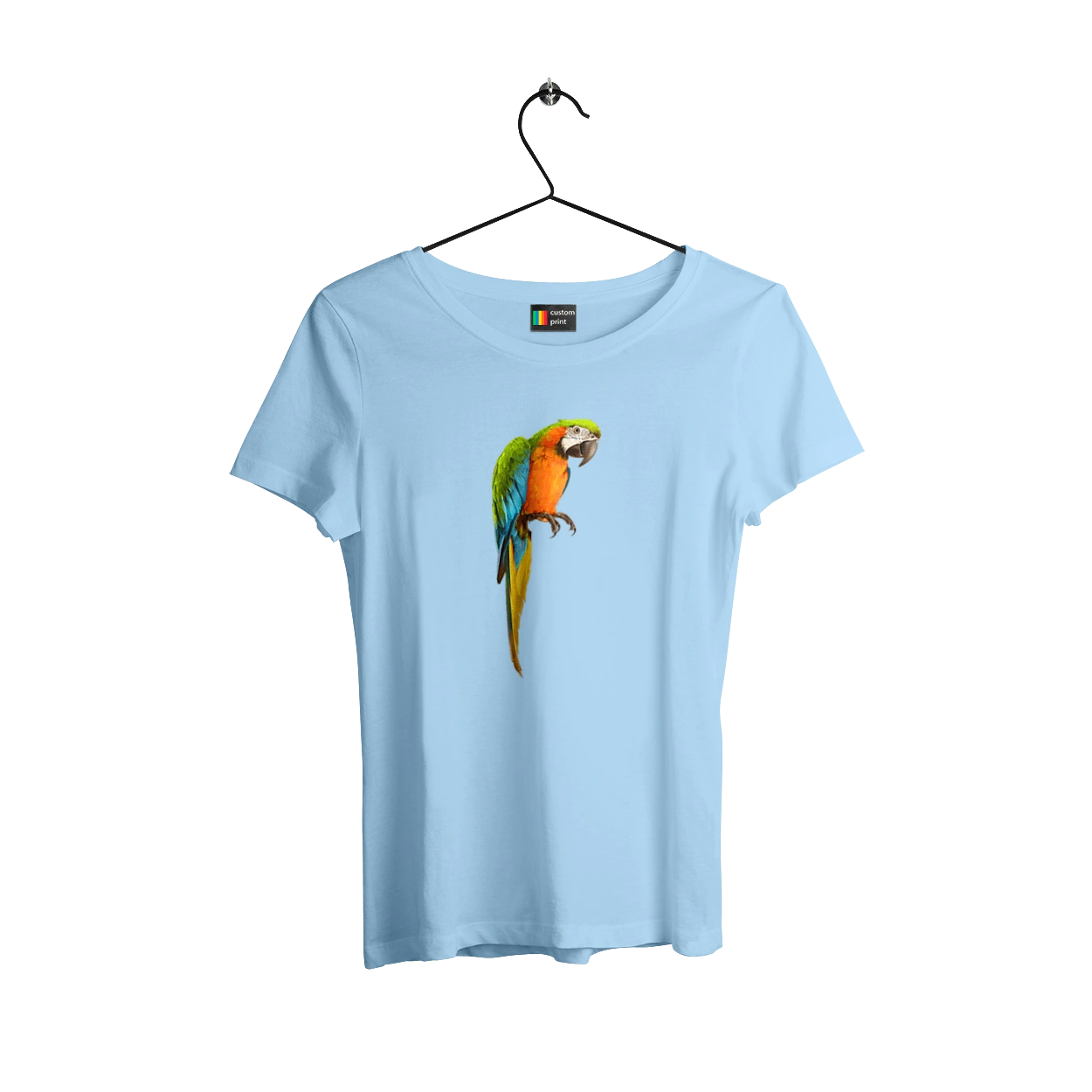 Просто Папуга