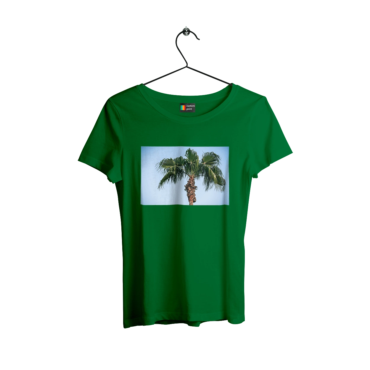 Palm tree against the sky