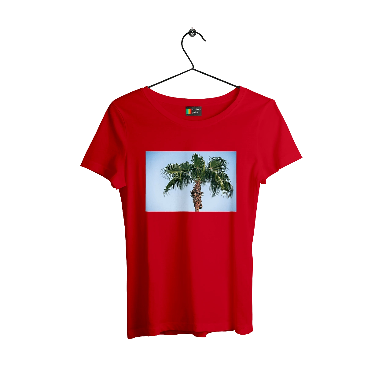 Пальма на тлі неба