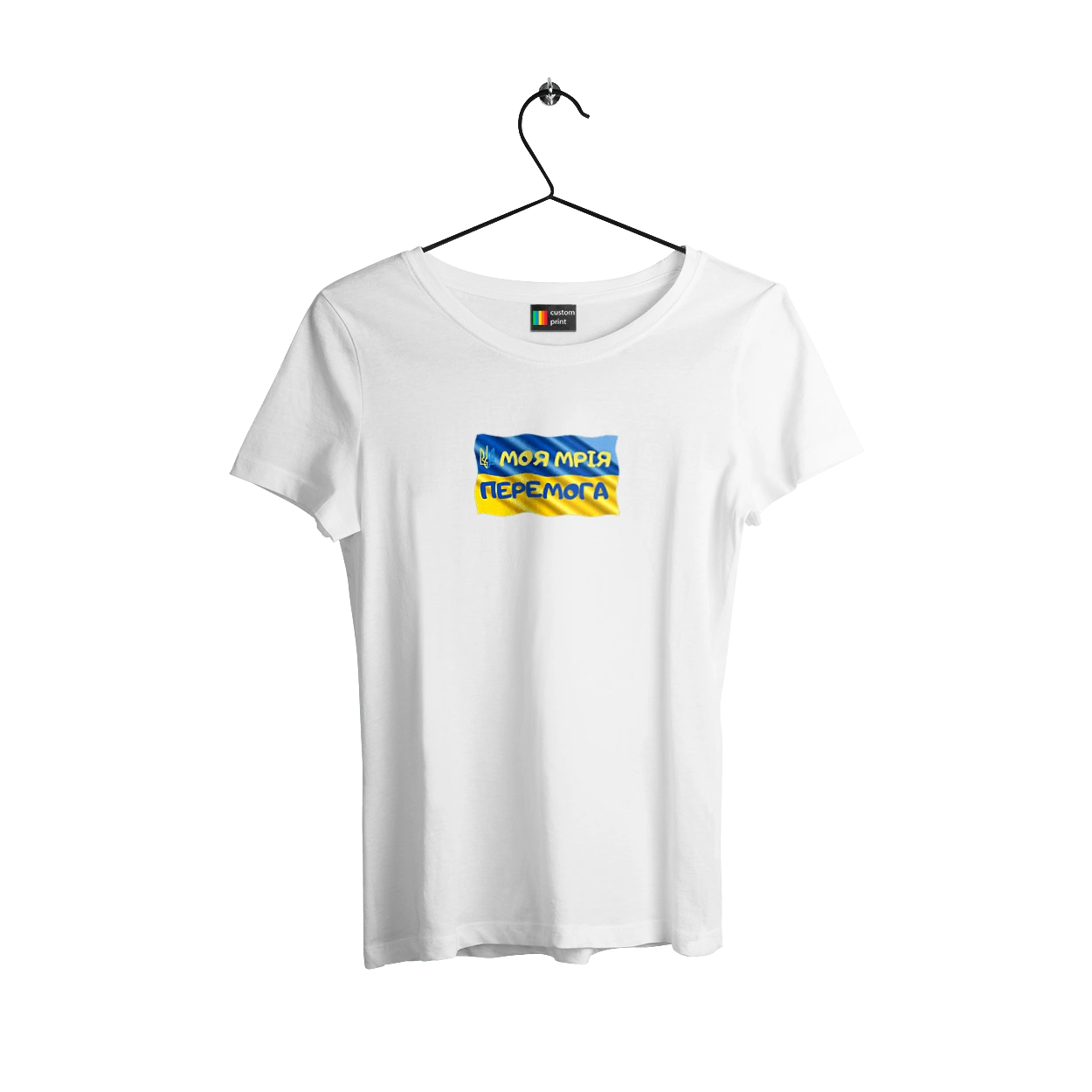 Моя мрія перемога. стяг України. герб України