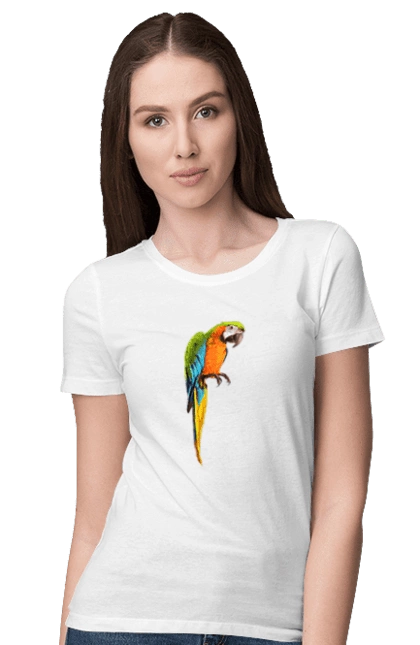 Просто Попугай