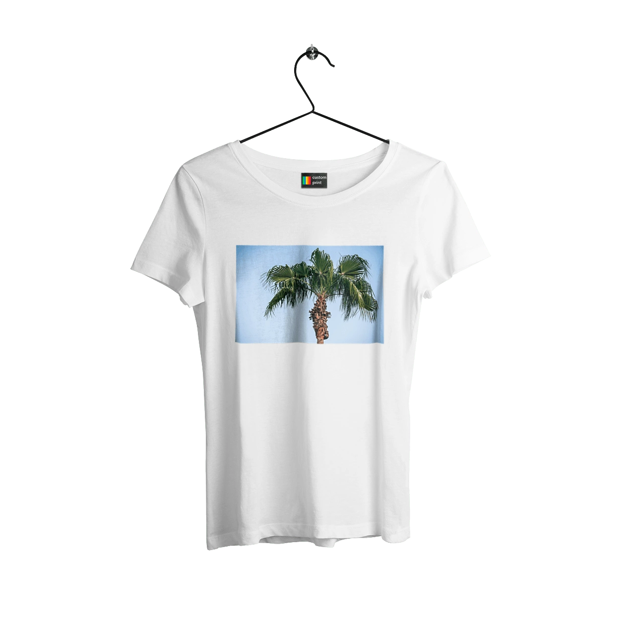 Palm tree against the sky