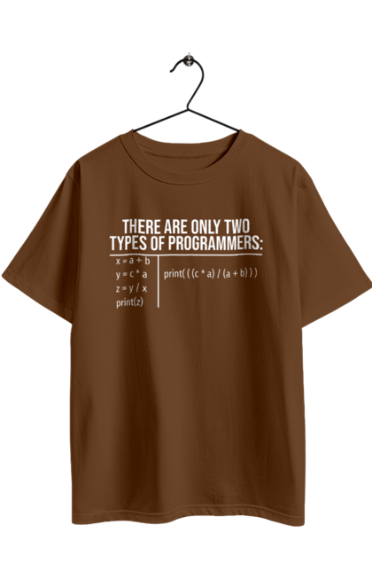 Футболка оверсайз з принтом "Два типи програмістів". Два програмісти, два типи, два типи програмістів, жарт it, мак адреса, програма, програміст, програмісти жартують, технічне завдання, фрілансер. 2070702