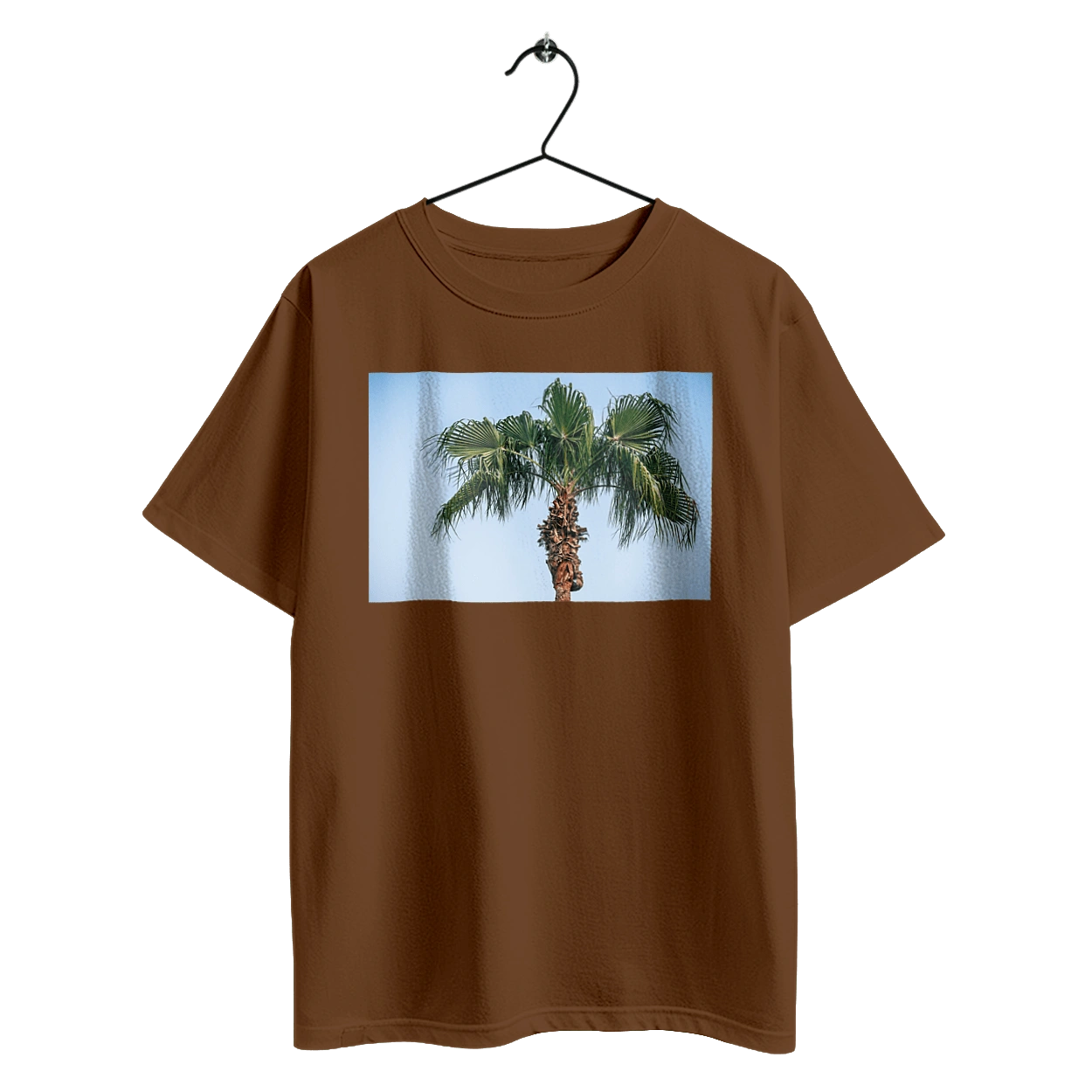 Пальма на тлі неба