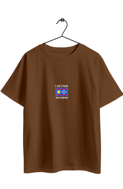 Футболка оверсайз з принтом "Прапор Вінницької області". Вінницька область, вінниця, місто, область, прапор, україна. 2070702