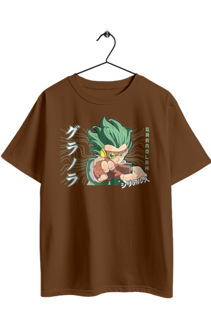 Футболка оверсайз з принтом "Перли дракона Гранола". Anime, dragon ball, goku, granolah, manga, vegeta, аніме, гранола, манга, перли дракона. 2070702