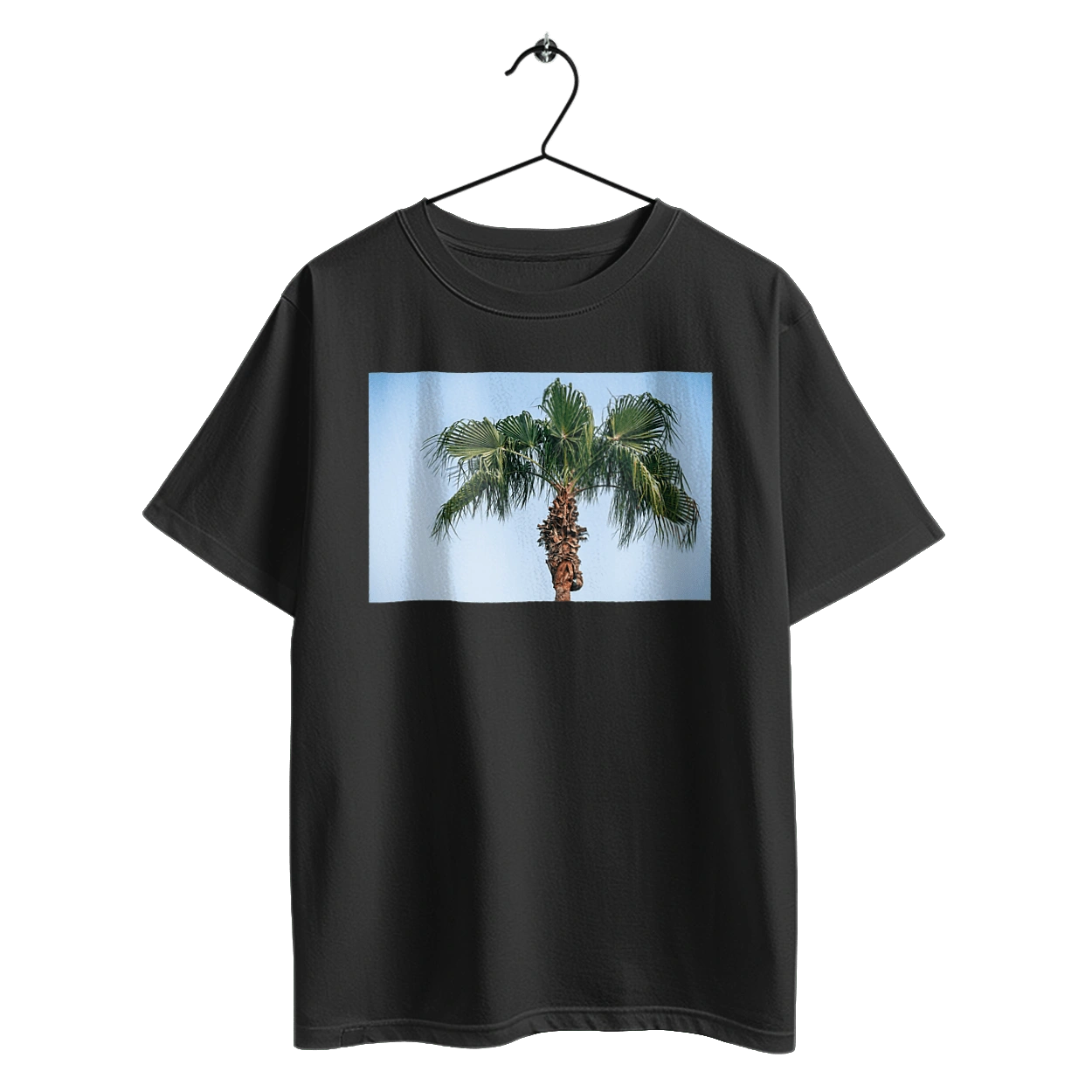 Palm tree against the sky