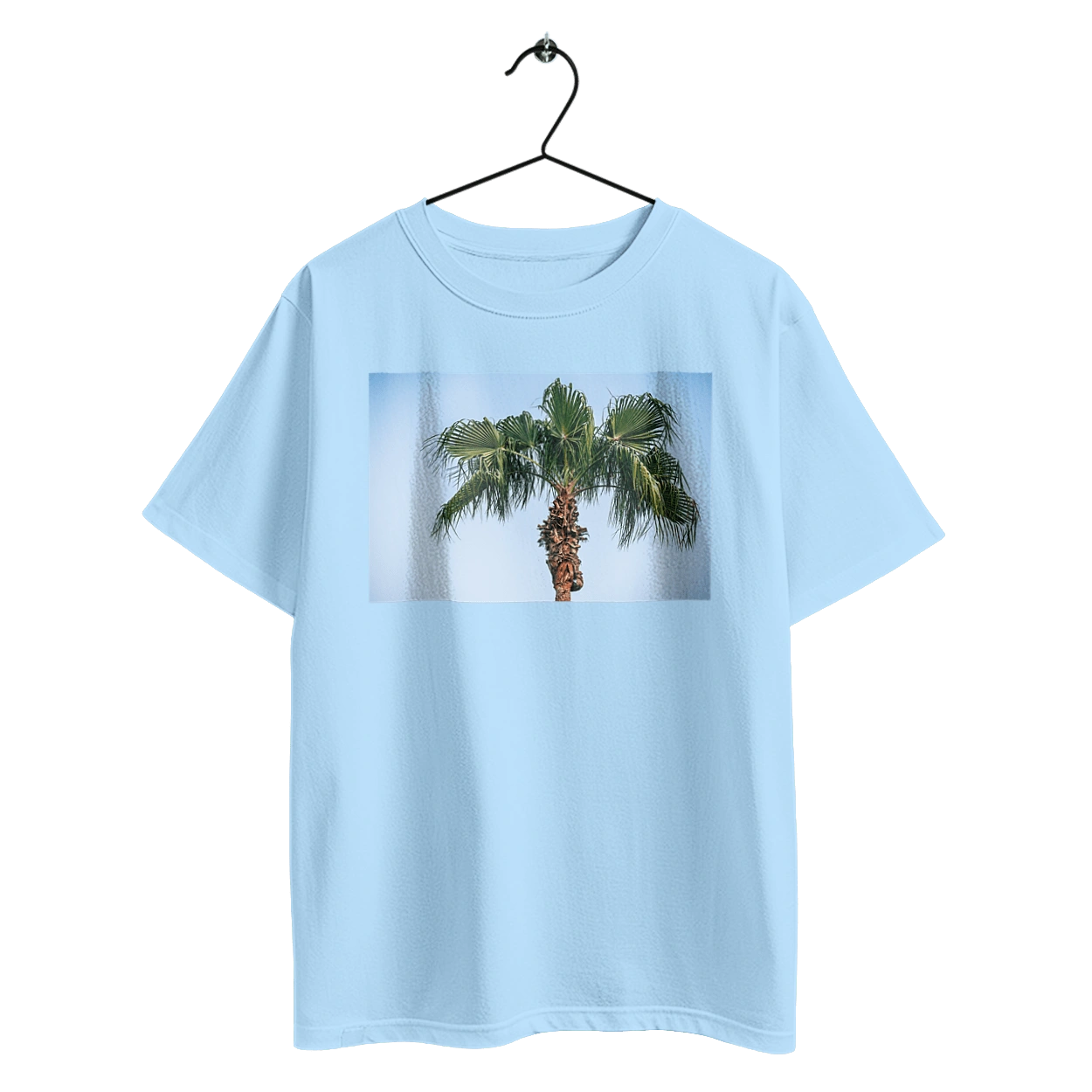 Palm tree against the sky