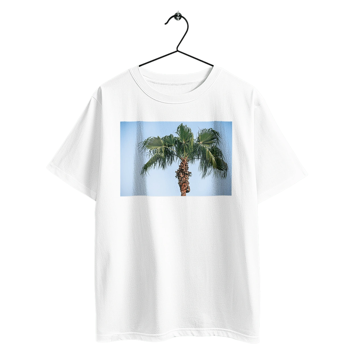 Пальма на тлі неба