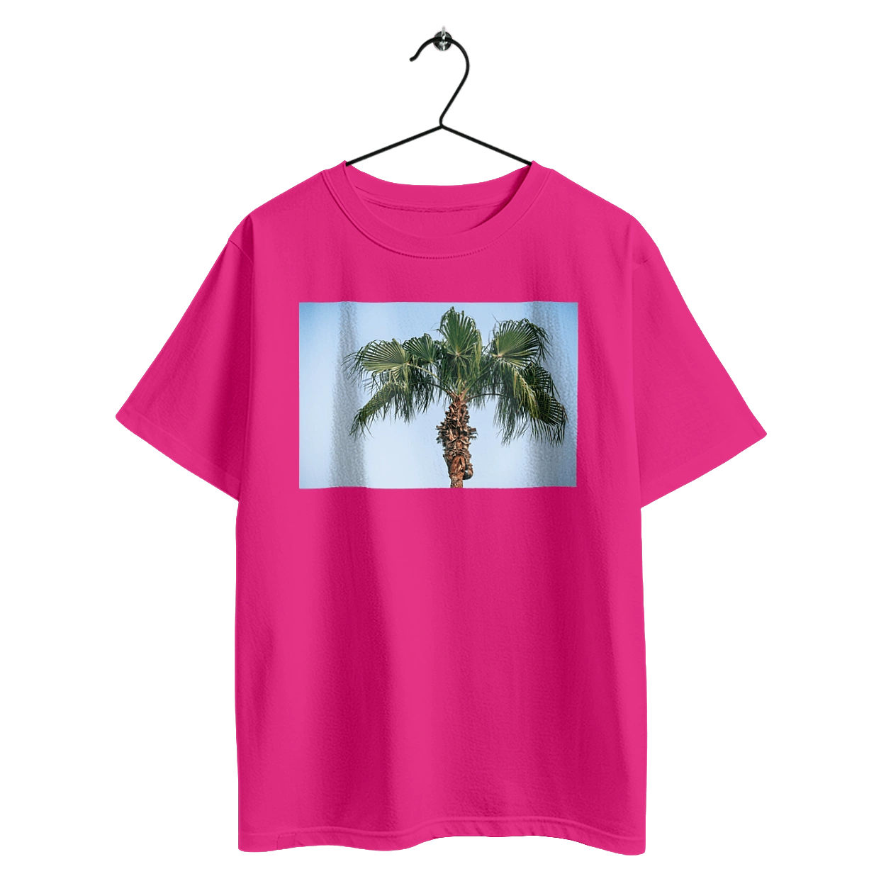 Palm tree against the sky