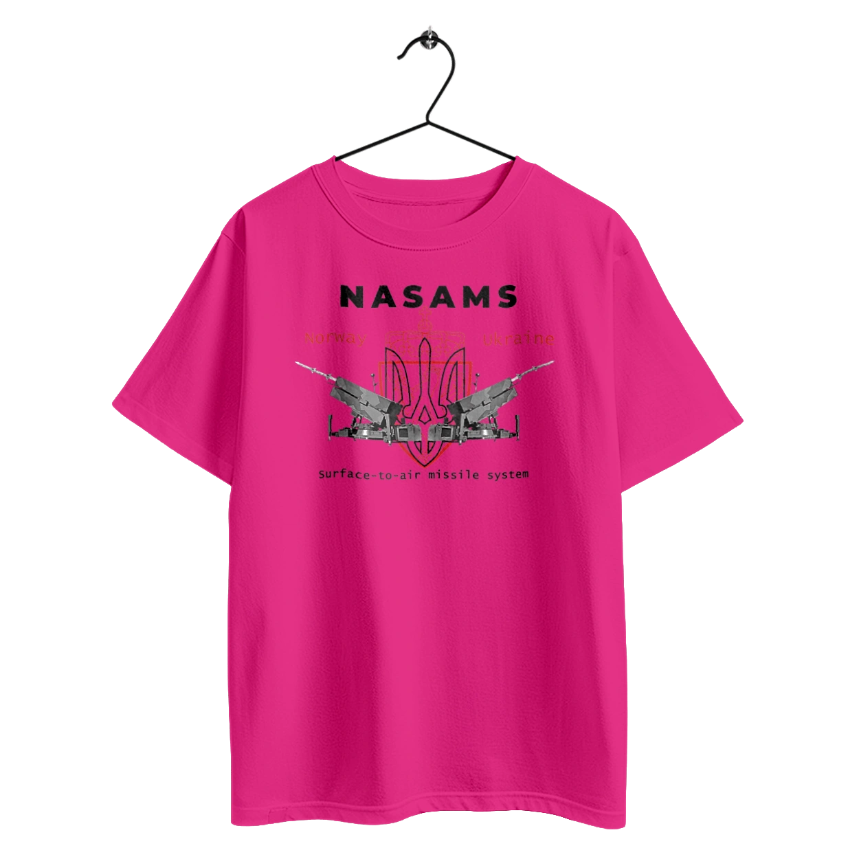 NASAMS