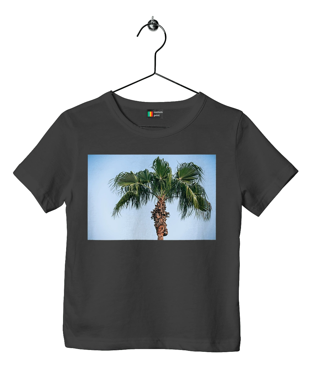 Пальма на тлі неба