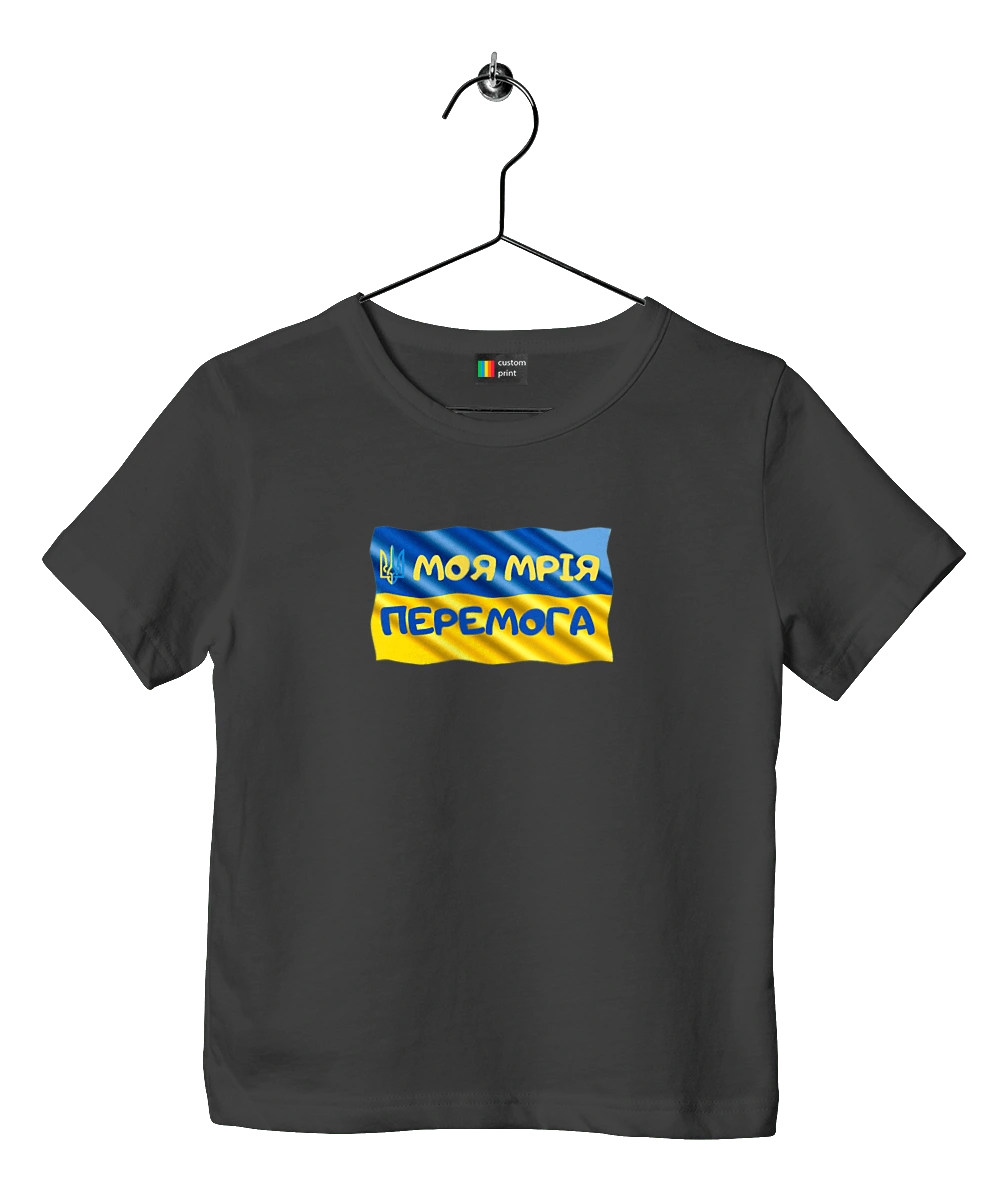 My dream is victory. the flag of Ukraine. Emblem of Ukraine