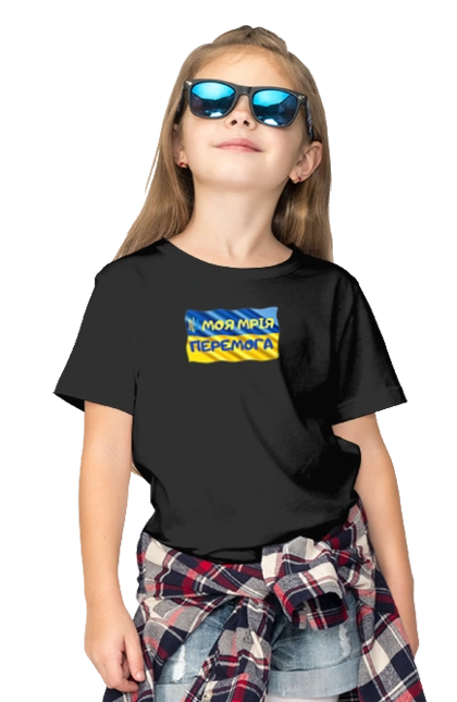 My dream is victory. the flag of Ukraine. Emblem of Ukraine