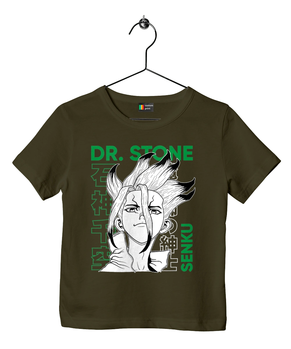 Dr. Stone Senku