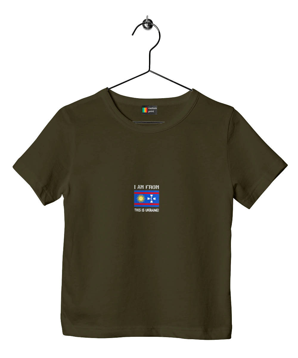 Flag of Vinnytsia region